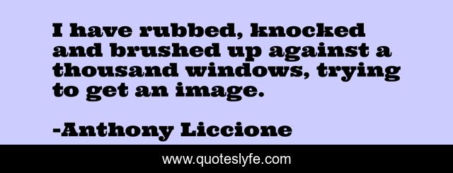 I have rubbed, knocked and brushed up against a thousand windows, trying to get an image.
