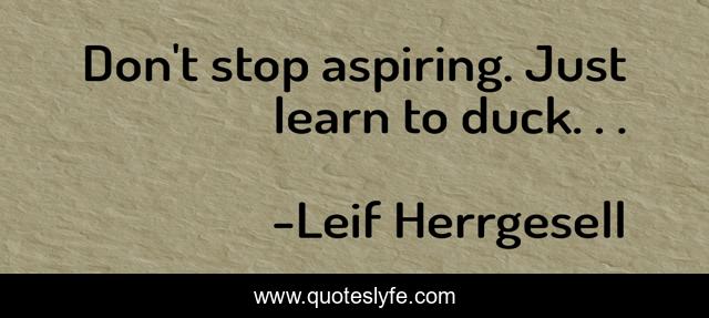 Don't stop aspiring. Just learn to duck. . .