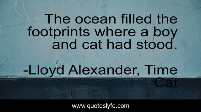 The ocean filled the footprints where a boy and cat had stood.