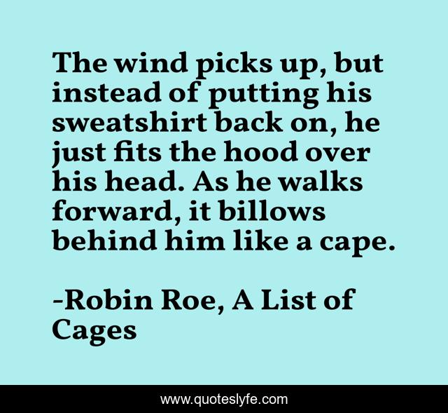 The wind picks up, but instead of putting his sweatshirt back on, he just fits the hood over his head. As he walks forward, it billows behind him like a cape.