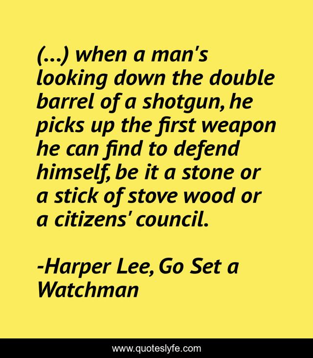 (...) when a man's looking down the double barrel of a shotgun, he picks up the first weapon he can find to defend himself, be it a stone or a stick of stove wood or a citizens' council.