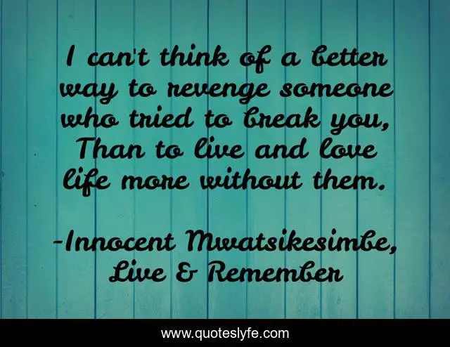 I can't think of a better way to revenge someone who tried to break you, Than to live and love life more without them.