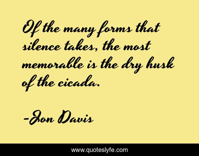 Of the many forms that silence takes, the most memorable is the dry husk of the cicada.