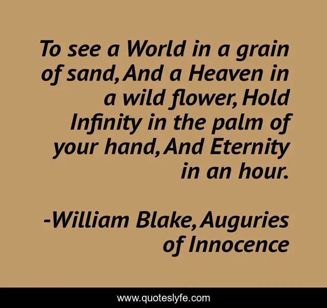 To see a World in a grain of sand, And a Heaven in a wild flower, Hold Infinity in the palm of your hand, And Eternity in an hour.
