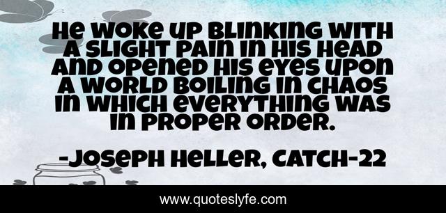 He woke up blinking with a slight pain in his head and opened his eyes upon a world boiling in chaos in which everything was in proper order.