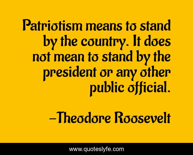 Patriotism means to stand by the country. It does not mean to stand by... Quote by Theodore