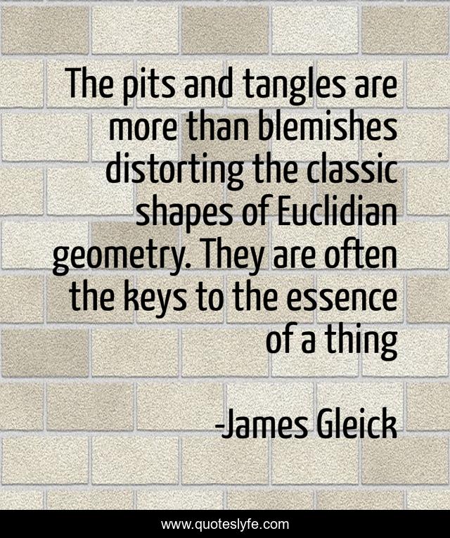 The pits and tangles are more than blemishes distorting the classic shapes of Euclidian geometry. They are often the keys to the essence of a thing