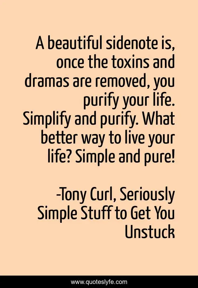 A beautiful sidenote is, once the toxins and dramas are removed, you purify your life. Simplify and purify. What better way to live your life? Simple and pure!