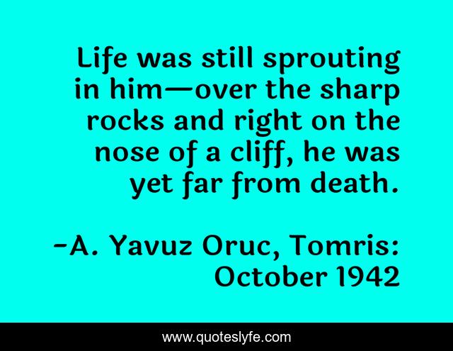 Life was still sprouting in him—over the sharp rocks and right on the nose of a cliff, he was yet far from death.