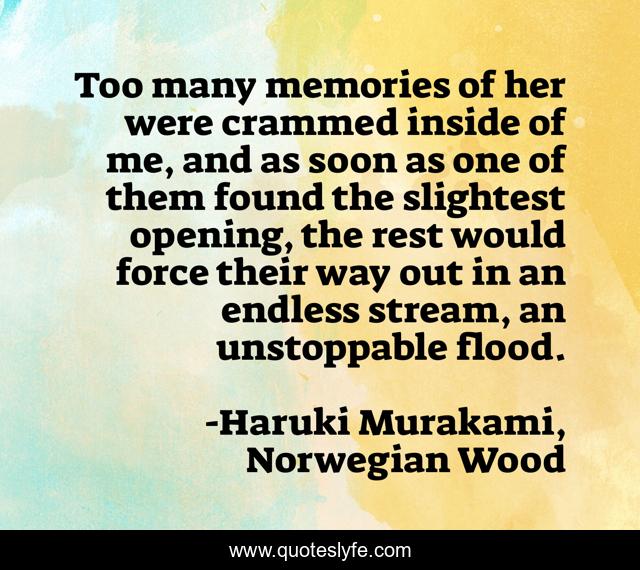 Too many memories of her were crammed inside of me, and as soon as one of them found the slightest opening, the rest would force their way out in an endless stream, an unstoppable flood.