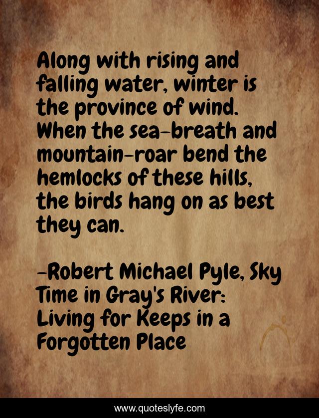 Along with rising and falling water, winter is the province of wind. When the sea-breath and mountain-roar bend the hemlocks of these hills, the birds hang on as best they can.
