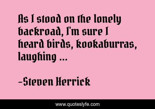 As I stood on the lonely backroad, I'm sure I heard birds, kookaburras, laughing ...