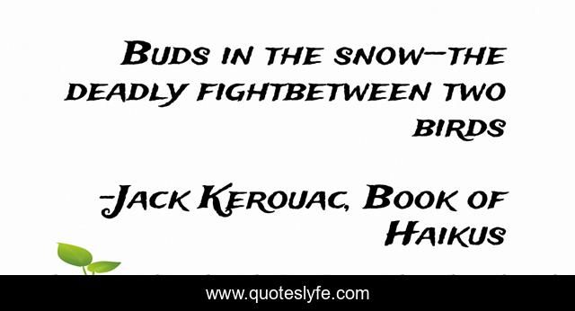 Buds in the snow—the deadly fightbetween two birds