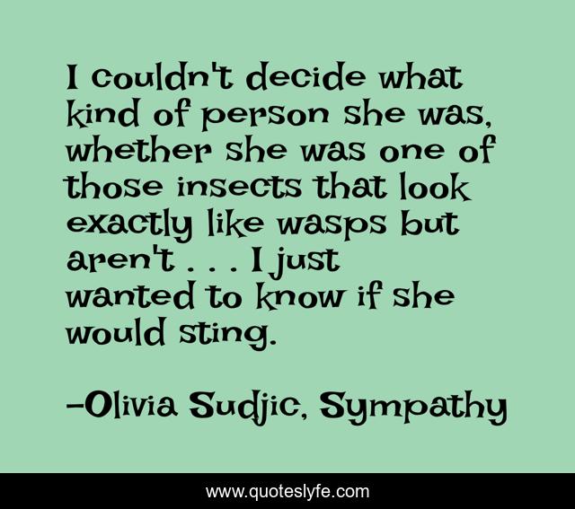 I couldn't decide what kind of person she was, whether she was one of those insects that look exactly like wasps but aren't . . . I just wanted to know if she would sting.