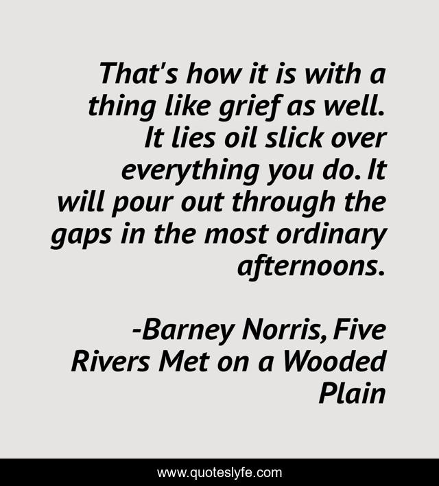 That's how it is with a thing like grief as well. It lies oil slick over everything you do. It will pour out through the gaps in the most ordinary afternoons.