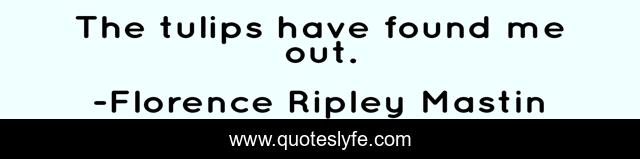 The tulips have found me out.