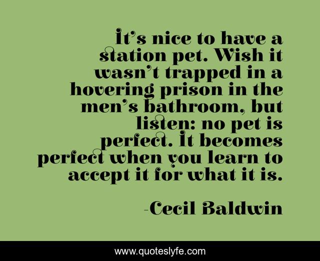 It’s nice to have a station pet. Wish it wasn’t trapped in a hovering prison in the men’s bathroom, but listen: no pet is perfect. It becomes perfect when you learn to accept it for what it is.