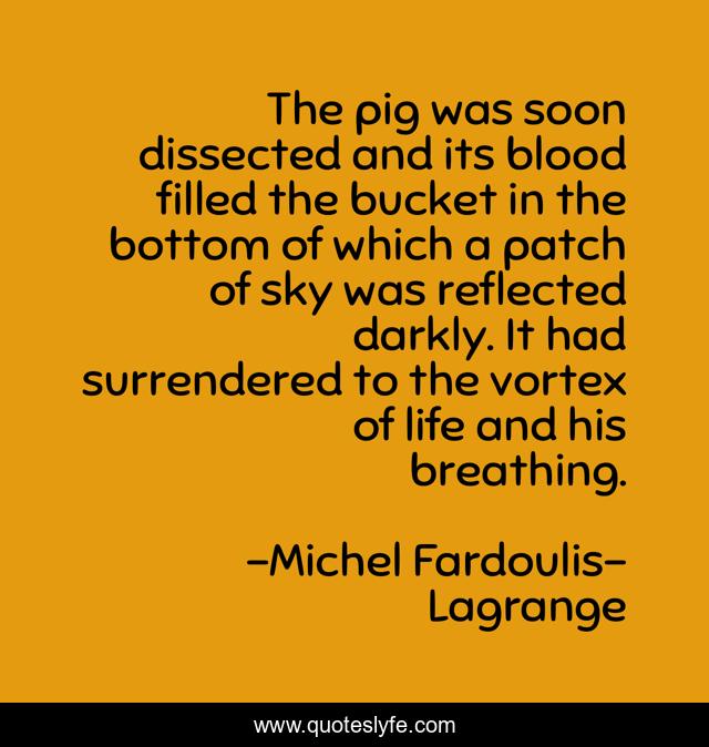 The pig was soon dissected and its blood filled the bucket in the bottom of which a patch of sky was reflected darkly. It had surrendered to the vortex of life and his breathing.