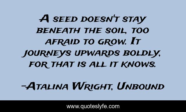 A seed doesn't stay beneath the soil, too afraid to grow. It journeys upwards boldly, for that is all it knows.
