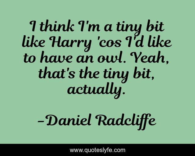 I think I'm a tiny bit like Harry 'cos I'd like to have an owl. Yeah, that's the tiny bit, actually.