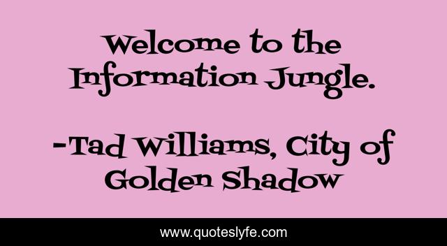 Welcome to the Information Jungle.