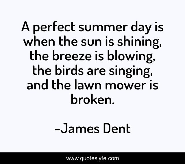A perfect summer day is when the sun is shining, the breeze is blowing, the birds are singing, and the lawn mower is broken.
