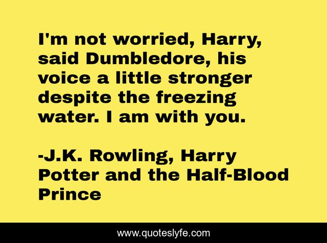 I'm not worried, Harry, said Dumbledore, his voice a little stronger despite the freezing water. I am with you.