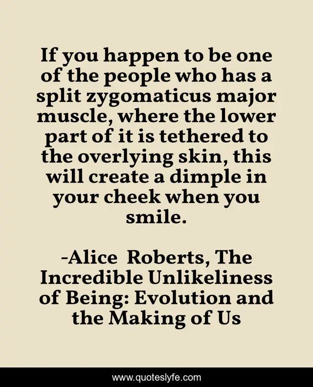If you happen to be one of the people who has a split zygomaticus major muscle, where the lower part of it is tethered to the overlying skin, this will create a dimple in your cheek when you smile.