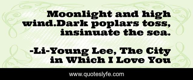 Moonlight and high wind.Dark poplars toss, insinuate the sea.