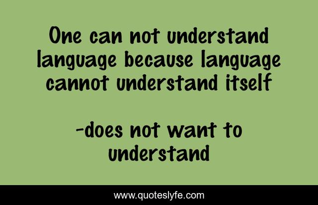 One can not understand language because language cannot understand itself