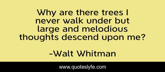 Why are there trees I never walk under but large and melodious thoughts descend upon me?