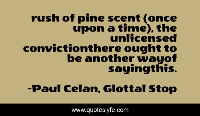 rush of pine scent (once upon a time), the unlicensed convictionthere ought to be another wayof sayingthis.
