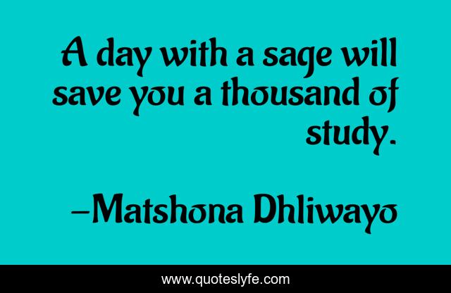A day with a sage will save you a thousand of study.