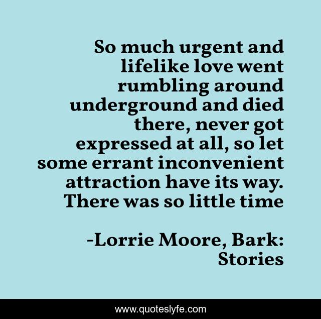 So much urgent and lifelike love went rumbling around underground and died there, never got expressed at all, so let some errant inconvenient attraction have its way. There was so little time