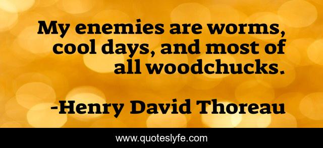 My enemies are worms, cool days, and most of all woodchucks.