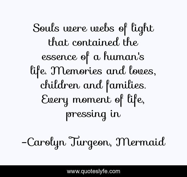 Souls were webs of light that contained the essence of a human's life. Memories and loves, children and families. Every moment of life, pressing in