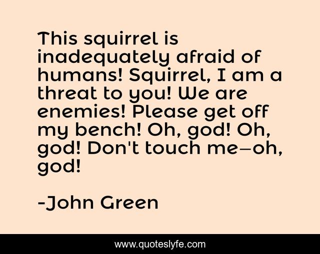 This squirrel is inadequately afraid of humans! Squirrel, I am a threat to you! We are enemies! Please get off my bench! Oh, god! Oh, god! Don't touch me—oh, god!