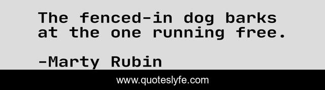 The fenced-in dog barks at the one running free.