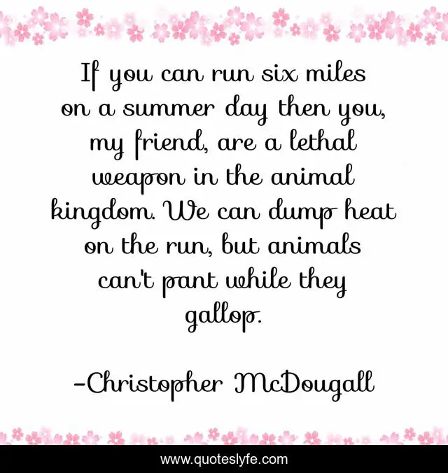 If you can run six miles on a summer day then you, my friend, are a lethal weapon in the animal kingdom. We can dump heat on the run, but animals can't pant while they gallop.