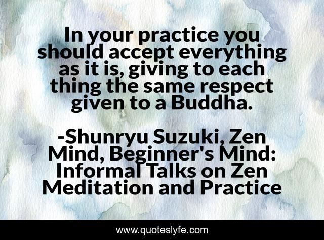 In your practice you should accept everything as it is, giving to each thing the same respect given to a Buddha.