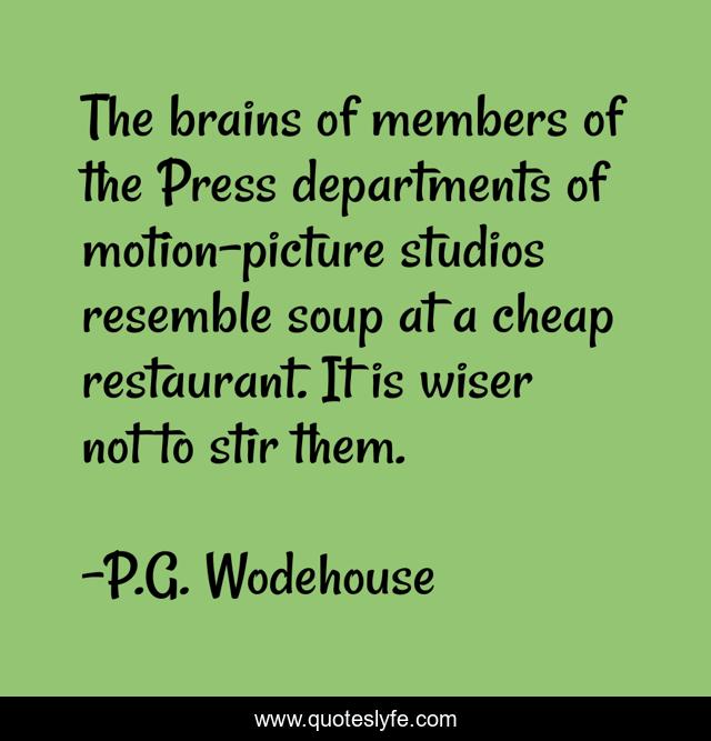 The brains of members of the Press departments of motion-picture studios resemble soup at a cheap restaurant. It is wiser not to stir them.