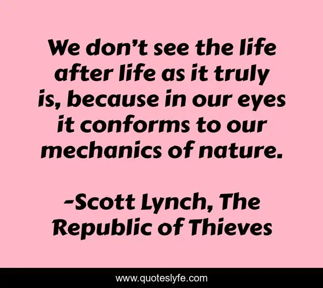 We don’t see the life after life as it truly is, because in our eyes it conforms to our mechanics of nature.