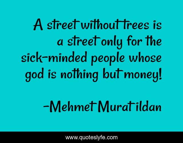 A street without trees is a street only for the sick-minded people whose god is nothing but money!