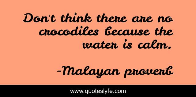 Don't think there are no crocodiles because the water is calm.