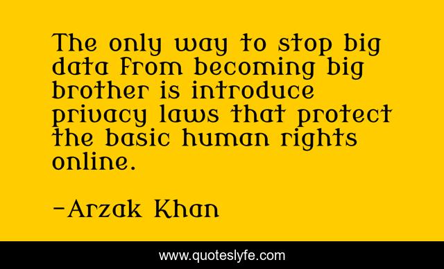The only way to stop big data from becoming big brother is introduce privacy laws that protect the basic human rights online.