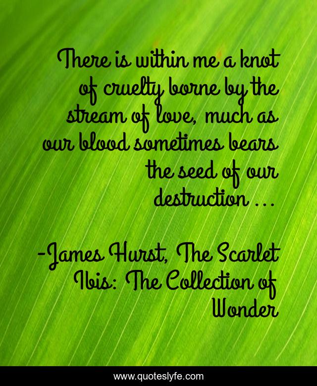 There is within me a knot of cruelty borne by the stream of love, much as our blood sometimes bears the seed of our destruction ...