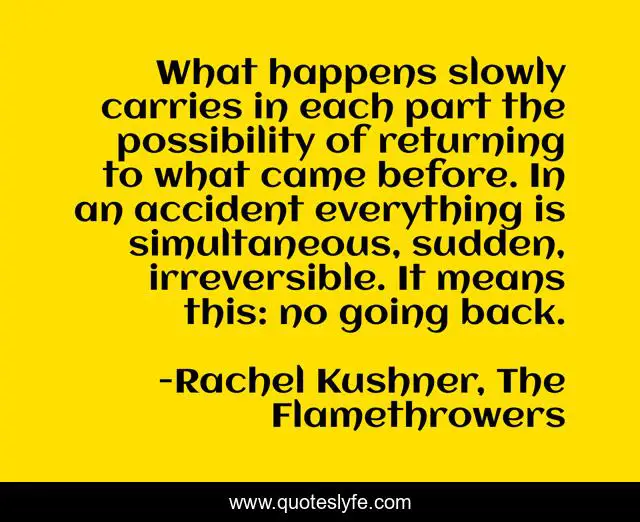 What happens slowly carries in each part the possibility of returning to what came before. In an accident everything is simultaneous, sudden, irreversible. It means this: no going back.