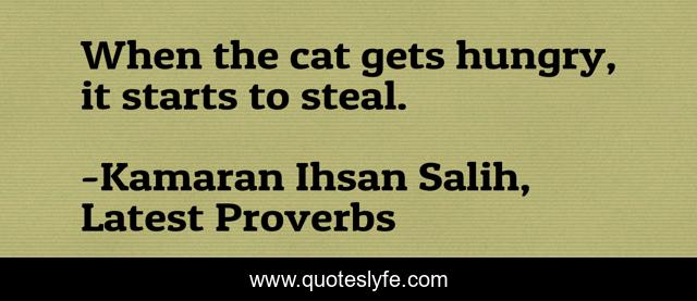 When the cat gets hungry, it starts to steal.