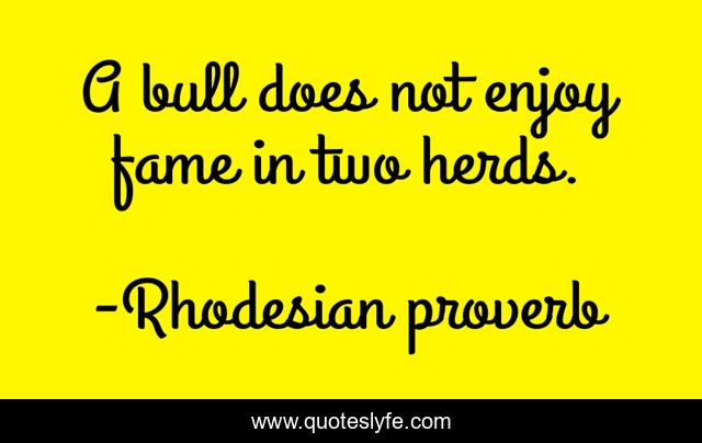 A bull does not enjoy fame in two herds.