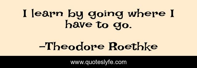 I learn by going where I have to go.